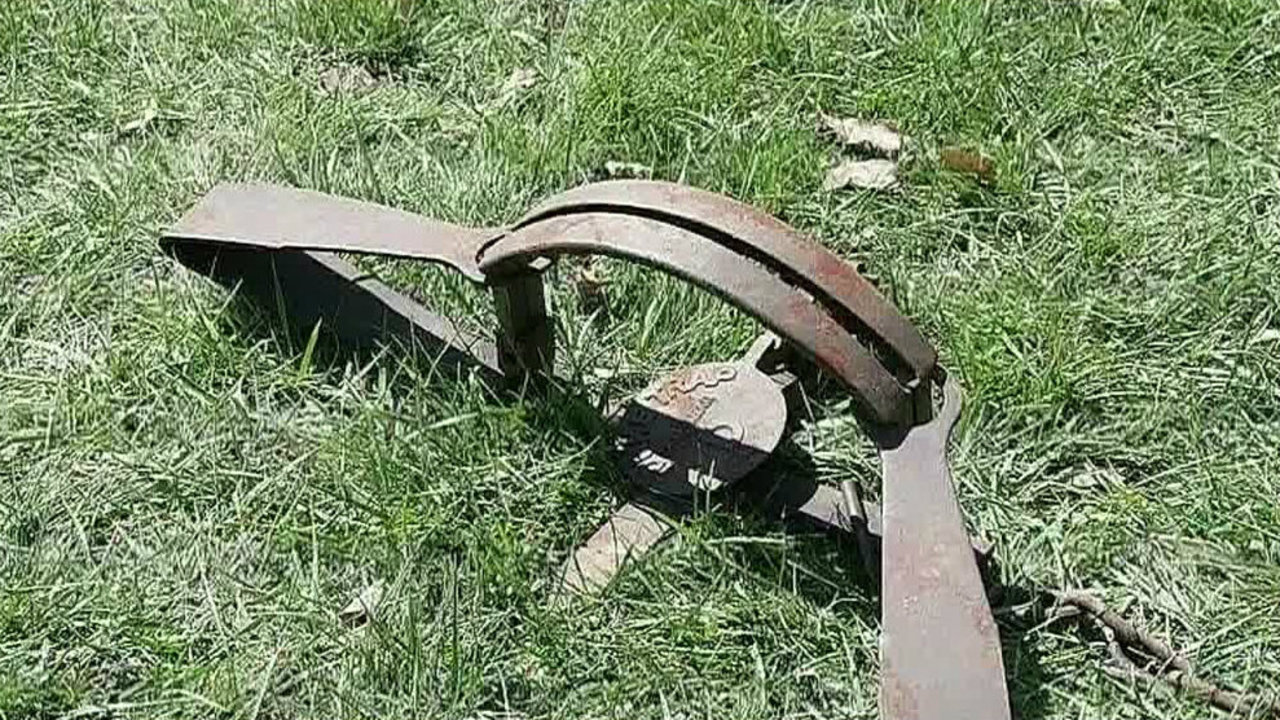 Illegal animal traps found in Southgate neighborhood
